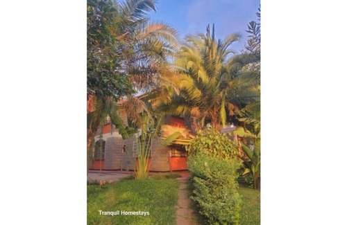 Naro Moru Apartment | Tranquil Homestays