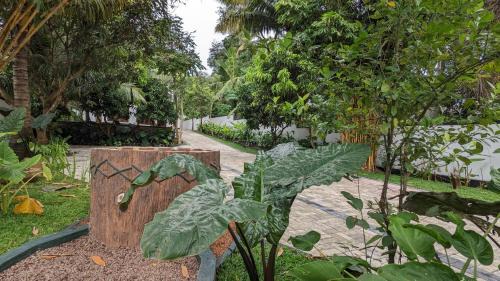 Dickwella Bed & Breakfast | Tranquil Lavish Resort