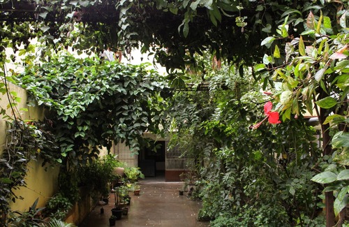 Sheshadripuram House | Tranquil living in midst of the city,