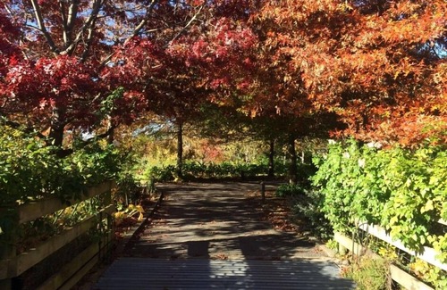 Renwick Apartment | Tranquil, private guest accommodation in beautiful garden setting