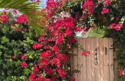 Lauderdale-by-the-Sea Apartment | Tranquil 1-bedroom, 1-bathroom apartment offers peace and comfort just moments from the beach