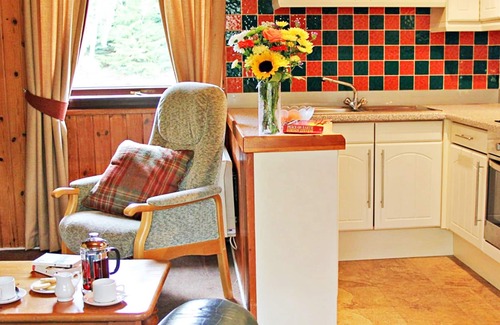 Carrbridge Condo | Tranquil Woodland Condo Resort