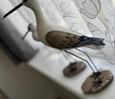 Sandown Ski Chalet | Tranquility at Sandown Bay