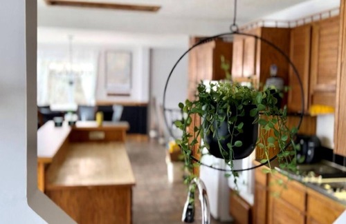 Blind Bay House | Tranquility Bay - Waterfront - Shuswap Vacations & Sledding Accommodation