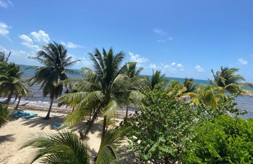 Placencia Resort | Tranquility Beach Suites