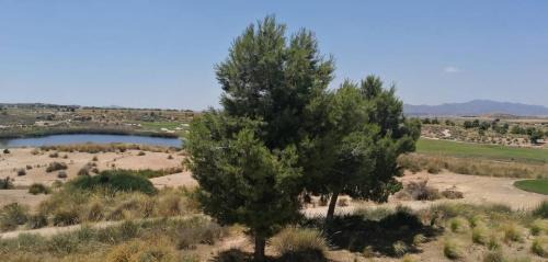 Alhama de Murcia Apartment | Tranquility, Condado De Alhama