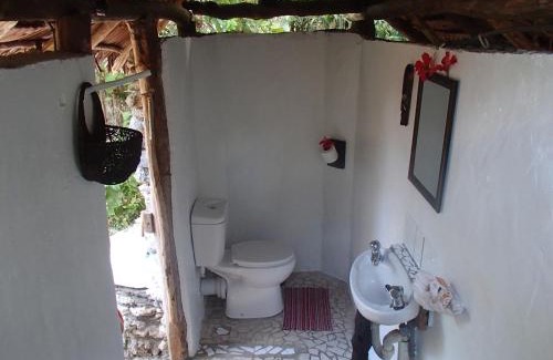 Moso Island Resort | Tranquility Island Eco Dive Resort