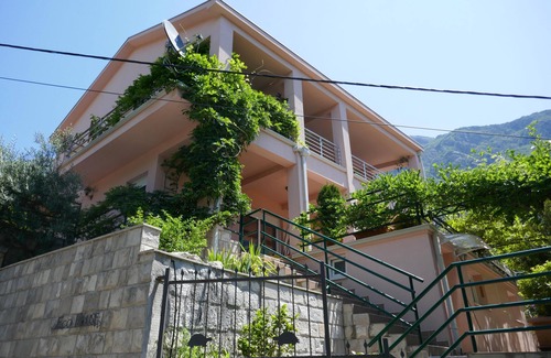 Risan Apartment | Tranquillity & comfort - spacious studio & terrace, relax under the vine canopy.