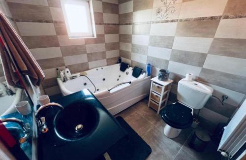 Miercurea Sibiului House | Transilvania Guesthouse