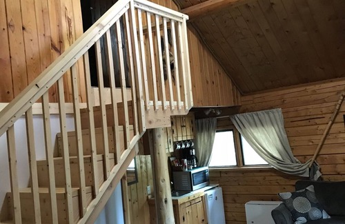 Tok Cabin | Trapper's Cabin - Private
