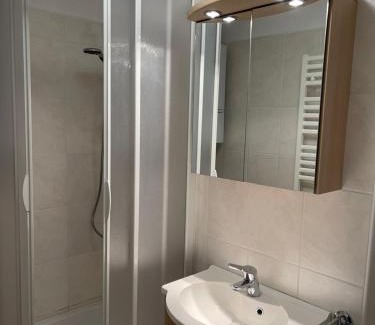 Bad Ischl Apartment | Traunkai Apartments - Zimnitz Blick