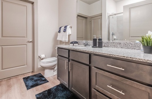 Irving Apartment | Traveler's Paradise Lux Apt w/ Backyard + more!