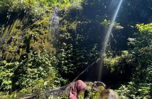Lombok House | Traveller Homestay