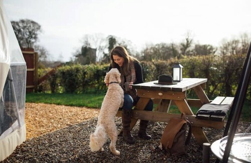 Lawrenny Cabin | Traveller's Joy, Luxury Dome with private hot tub, 15 mins to beach