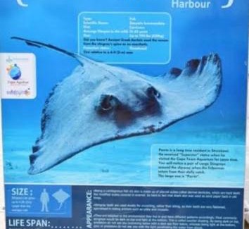 L'Agulhas House | Travellers Treat - 8 Sleeper House minutes from the beach!