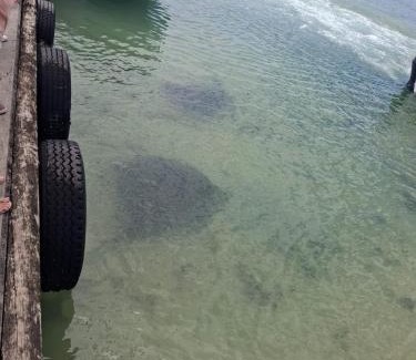 L'Agulhas House | Travellers Treat Agulhas 8 sleeper