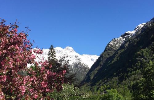 Alagna Valsesia Bed & Breakfast | Tre Alberi Liberi