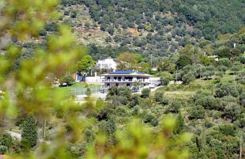 Nafpaktos Hotel | Treanto Nafpaktos Boutique Hotel