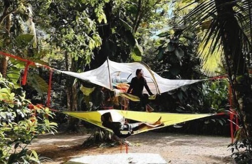 Sabana RV Rental | Tree Camping Tent: Hacienda Monte Reynn