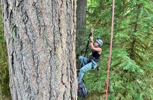 West Stayton Bed & Breakfast | Tree Climbing at Silver Falls