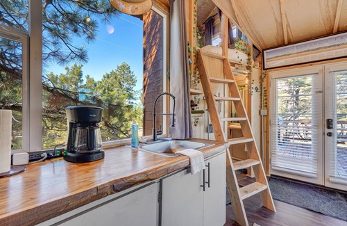 Larkspur House | Tree Fort Escape