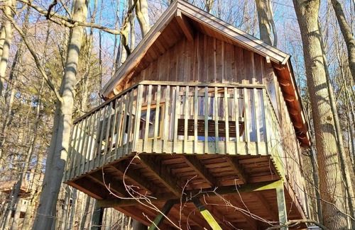 Solling Apartment | Tree house Ahletal, living/bedroom - Baumhaushotel Solling