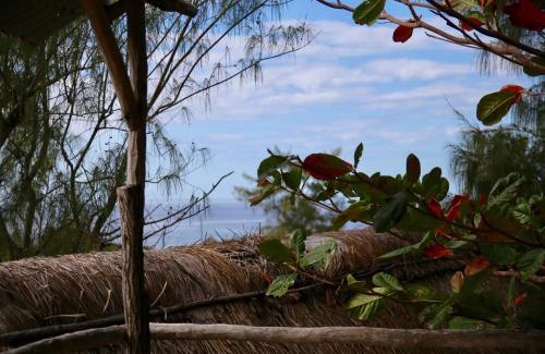 Tofo House | Tree House Cottage, Ocean View