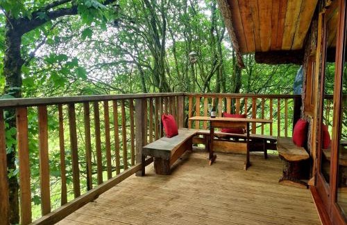 Oakford House | Tree House