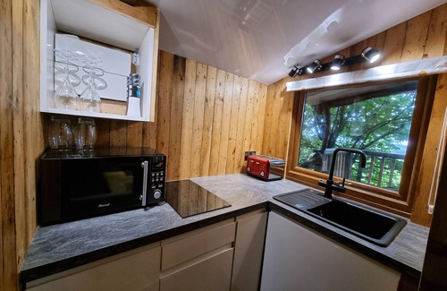 Llanarth Cottage | Tree House