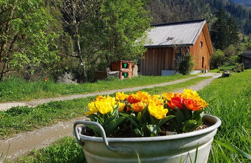 San Pancrazio Ski Chalet | Tree house "Laugen Lodge" with Natural swimming pond
