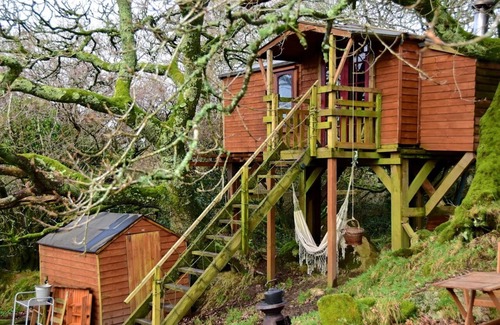 Lostwithiel Cabin | Tree House near Eden Project
