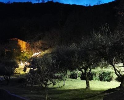 Solagna House | Tree House San Giorgio