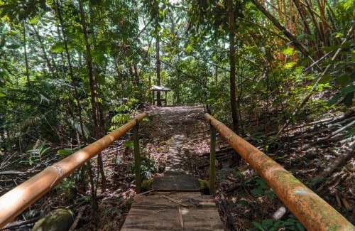 Santa Clara Cabin | Tree Houses Hotel Costa Rica