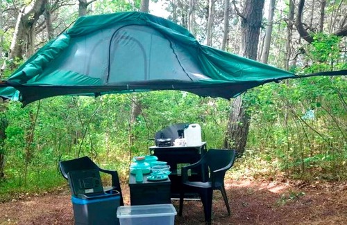 Bakenberg Apartment | Tree tent Ostseebreeze - Category 3 No. 14 - Ferienpark Bakenberg