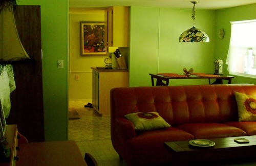 Bearss Plaza House | 'Tree Tops' A Florida Friendly, Pet Friendly, Rental