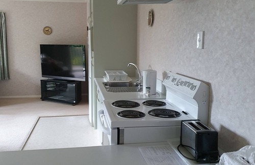 New Plymouth House | Tree Tops Apartment opposite Pukekura Park