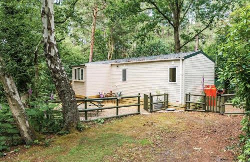 Weybourne House | Tree Tops - Norfolk Cottage Agency