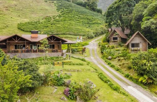 Los Naranjos Hotel | TREE TREK BOQUETE Adventure Park