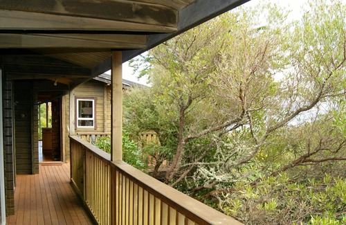 Tata Beach Cottage | TREED - GOLDEN BAY BACH (TATA BEACH), pet friendly in Tata Beach