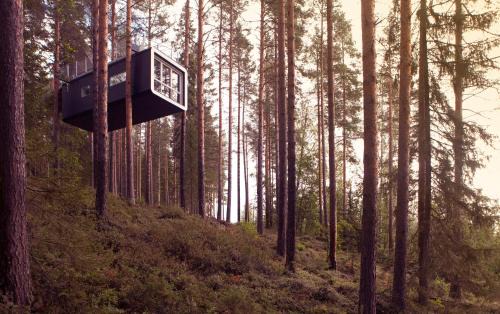 Harads Cabin | Treehotel