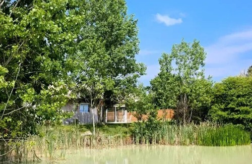 Dienne Cabin | Treehouse 4 People