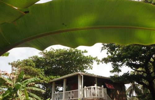 Corn Island House | Treehouse Apartment at La Lodge at Long Bay