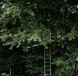 Kvaerndrup Other | Treehouse escape