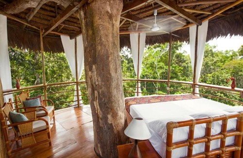 Saquena Cabin | Treehouse Lodge