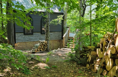 Clare Cabin | Treehouse overlooking the lake