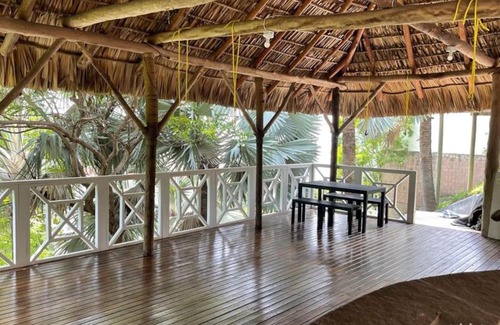 Xanadu House | Treehouse