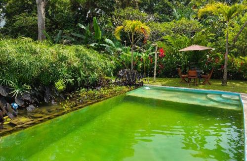 Calabazo Cabin | Treehouse Tayrona
