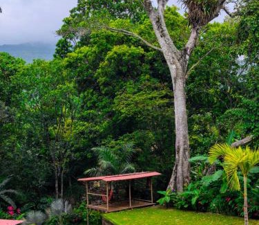 Calabazo Cabin | Treehouse Tayrona