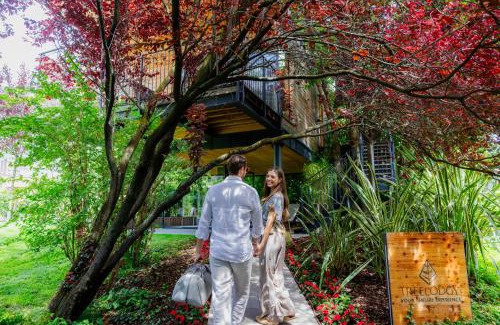 Riva del Garda Resort | TreeLodgy, The Tree House