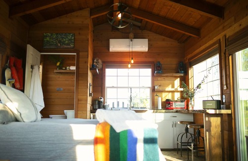 Martinez House | TREEmendous Potting Shed